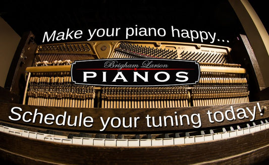Piano Tuning Blog - Schedule your next piano tuning with us!