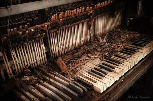 Piano Tuning Blog - Piano won't hold a tune?