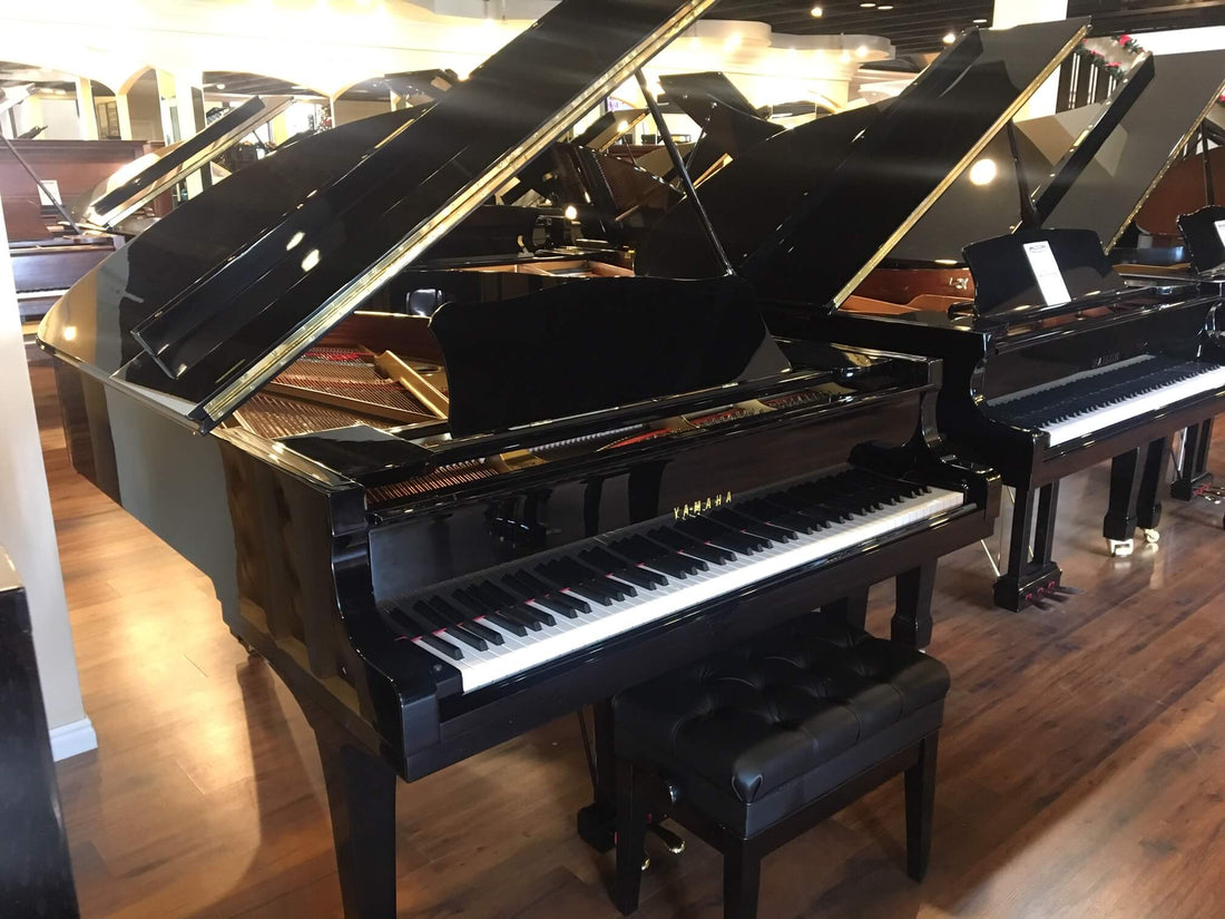 The Piano Buying Blog - Just out of the Shop! Yamaha C5 Grand Piano! - Yamaha