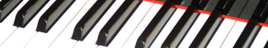 Piano Restoration Blog - Do You Need New Piano Keys?