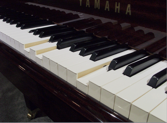 News - The piano that plays itself - QRS Player Technology - Hailun