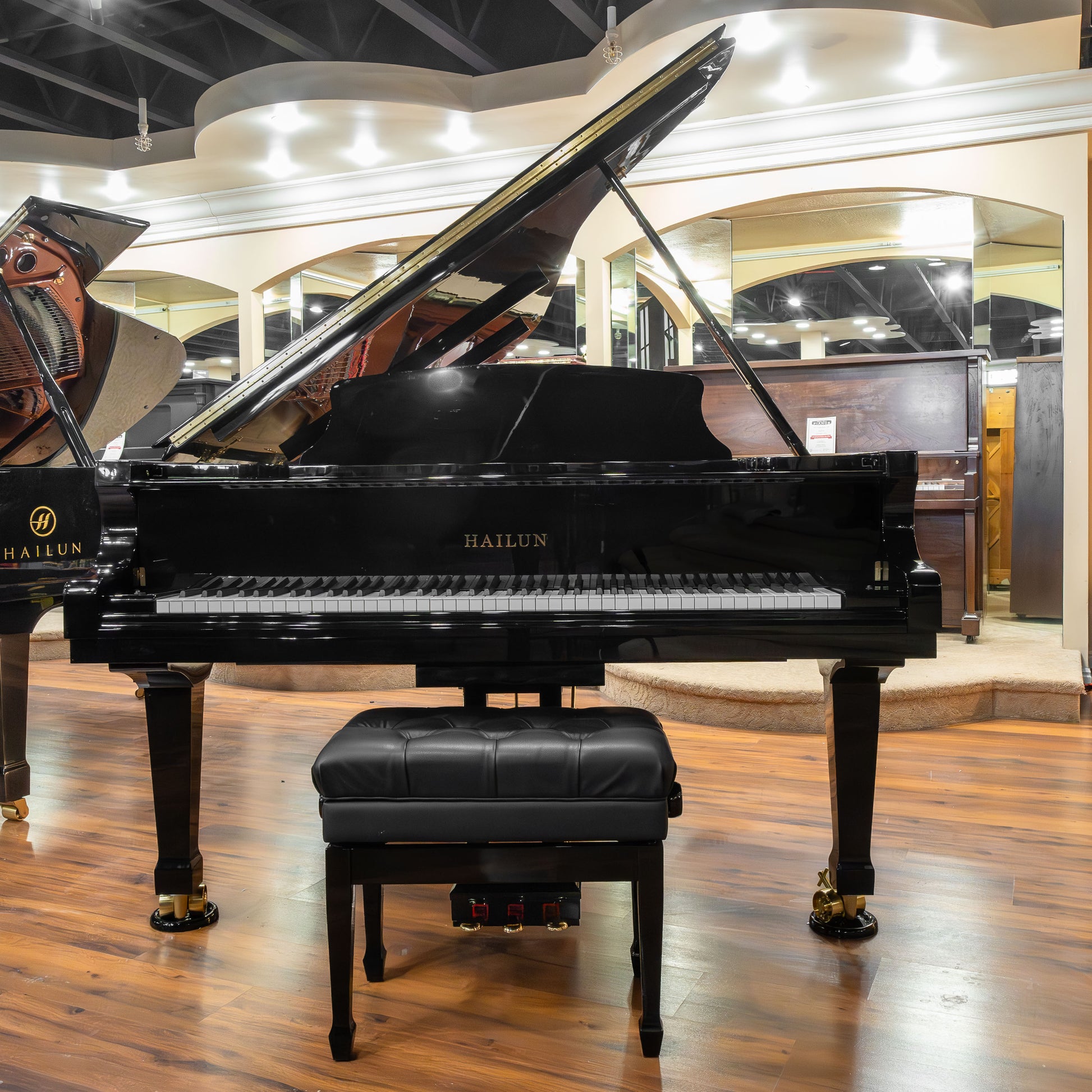 Image 2 of Hailun VG-278 / Polished Black / 9'1" with QRS Self Playing System