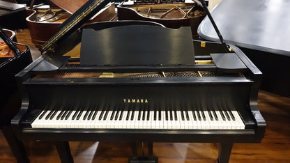 Image 3 of 1969 Satin Yamaha G2 5'8"