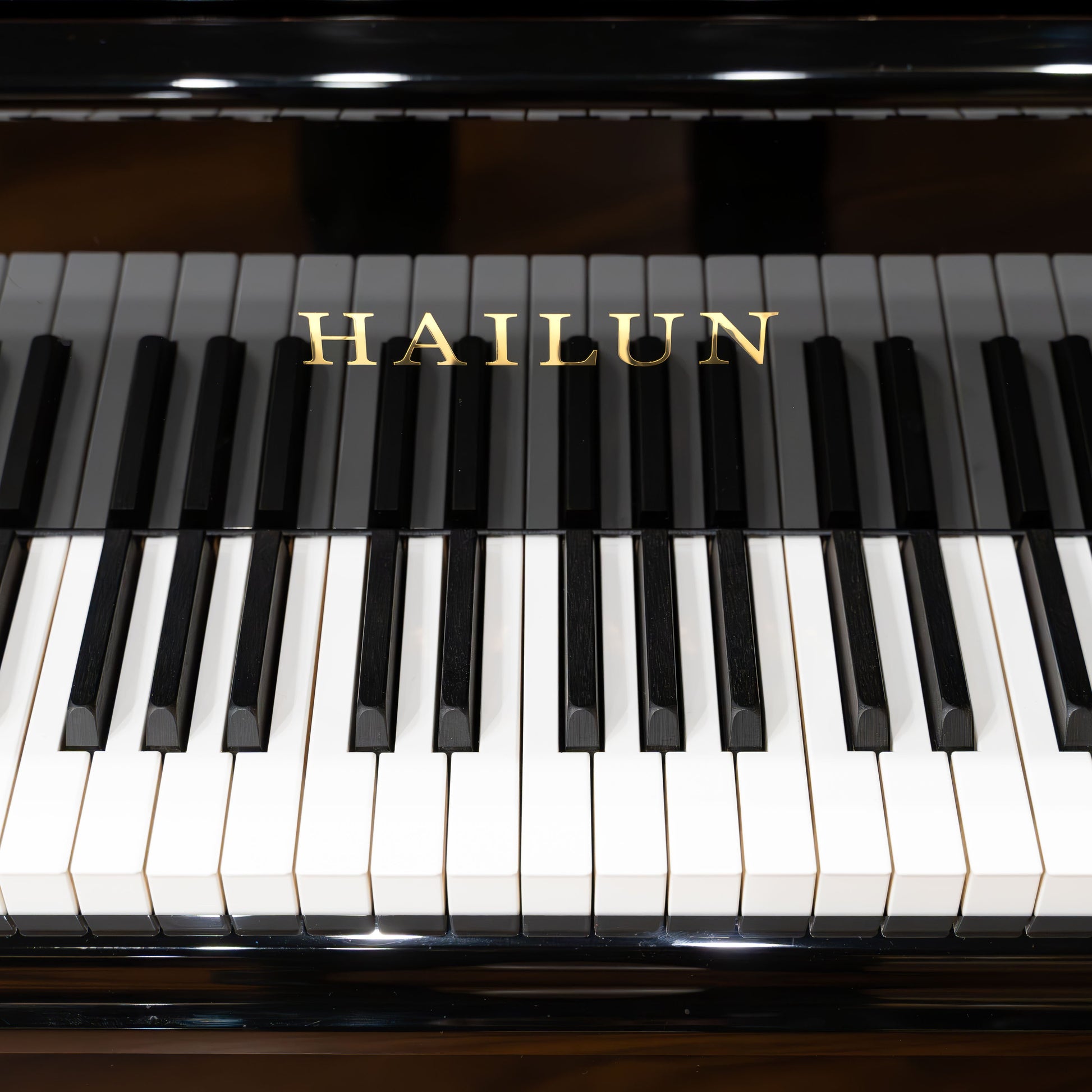 Image 4 of Hailun VG-278 / Polished Black / 9'1"