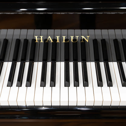 Image 4 of Hailun VG-278 / Polished Black / 9'1"