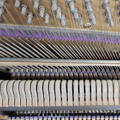 CURRENT SHOP WORK 1913 Meister 57" Wood Finish Commissioned Upright Piano