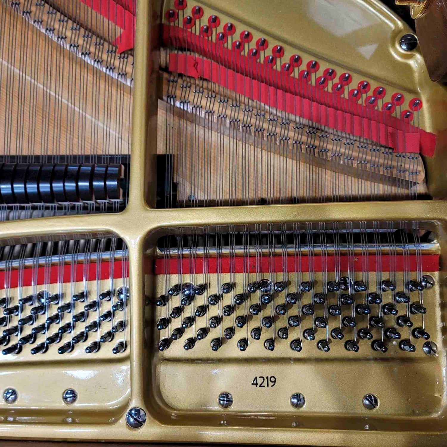 Close-up of a yamaha grand piano's internal mechanism with strings and keys.