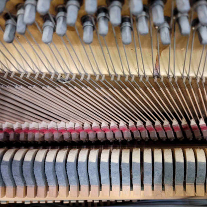 CURRENT SHOP WORK 1923 Cable-Nelson 54" Wood Finish Commissioned Upright Piano