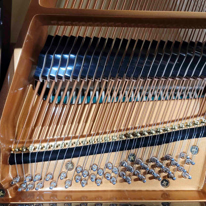 Gebr. Schulz GSG-150 4'11" Polished Black Grand Piano