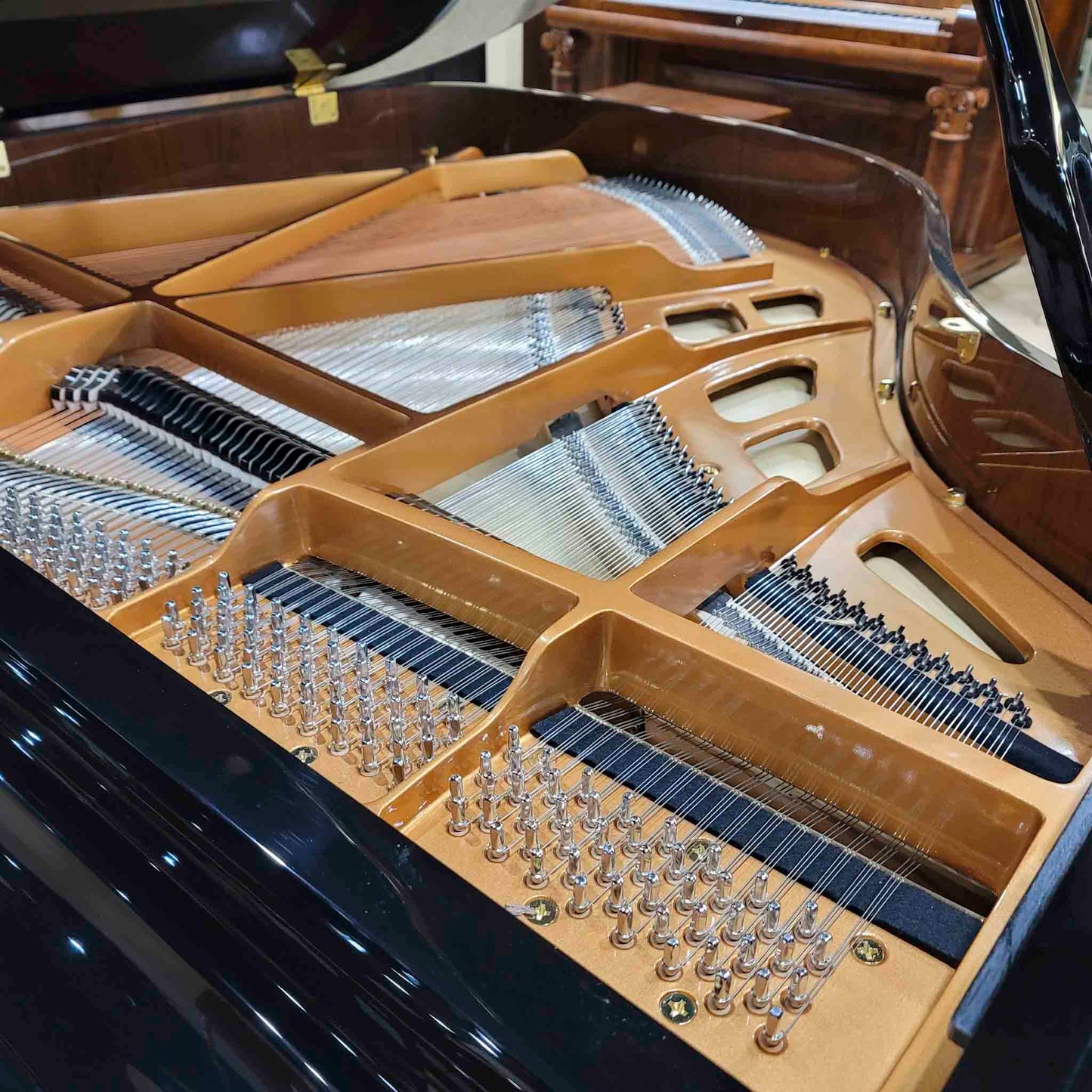 Gebr. Schulz GSG-150 4'11" Polished Black Grand Piano