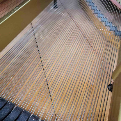 CURRENT SHOP WORK 1867 Steinway & Sons 5'10" Wood Finish Commissioned Grand Piano