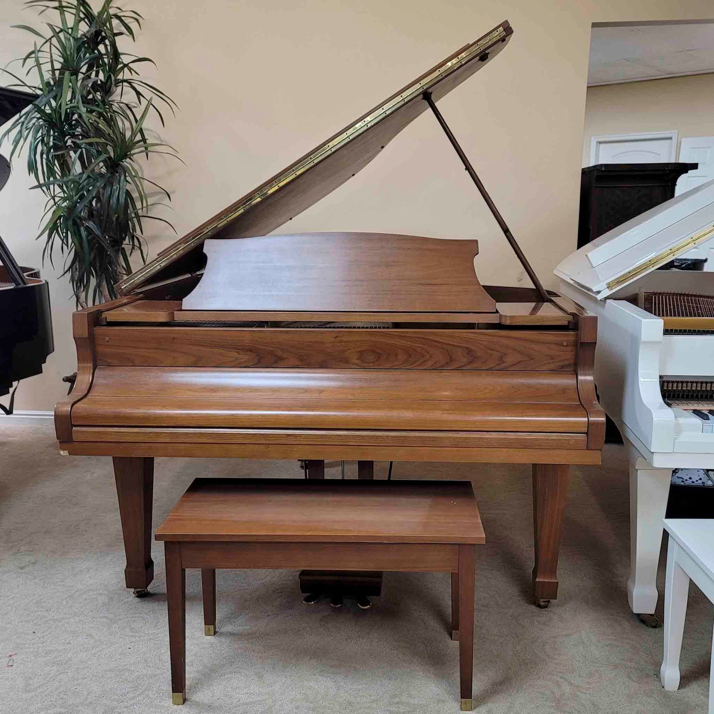 AVAILABLE TO RESTORE: CALL FOR CUSTOM PRICING- 1982 Kawai KG-3D 5'10" Wood Finish Grand Piano