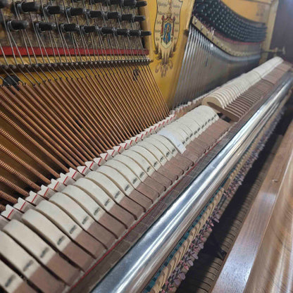 1903 Ed. Seiler 49" Wood Finish Upright Piano