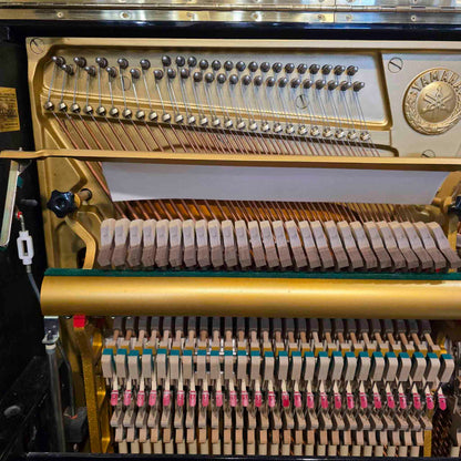 1981 Yamaha YUA 52" Polished Black Upright Piano