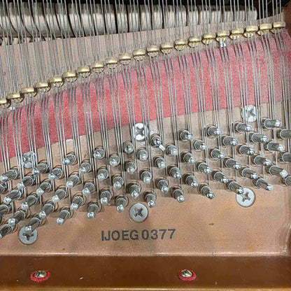 CURRENT SHOP WORK 2005 Remington RG-185 6'1" Polished Black Commissioned Grand Piano