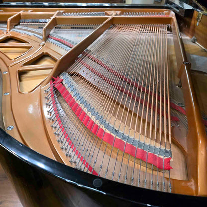 CURRENT SHOP WORK 2005 Remington RG-185 6'1" Polished Black Commissioned Grand Piano