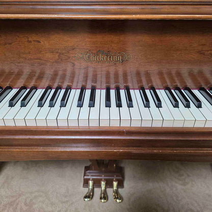 HEIRLOOM RESTORATION 1968 Chickering 5' Wood Finish Commissioned Grand Piano