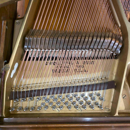 HEIRLOOM RESTORATION 1968 Chickering 5' Wood Finish Commissioned Grand Piano