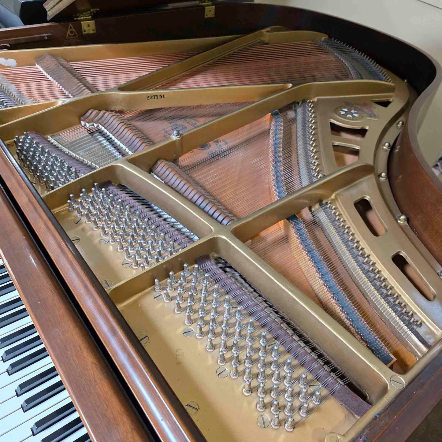 HEIRLOOM RESTORATION 1968 Chickering 5' Wood Finish Commissioned Grand Piano