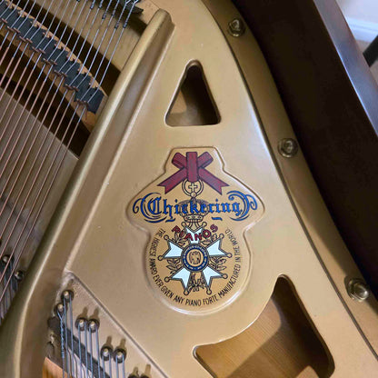 HEIRLOOM RESTORATION 1968 Chickering 5' Wood Finish Commissioned Grand Piano