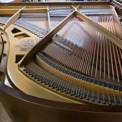 HEIRLOOM RESTORATION 1968 Chickering 5' Wood Finish Commissioned Grand Piano