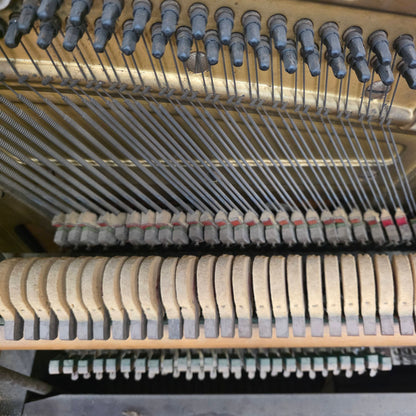CURRENT SHOP WORK 1909 Behr Bros 56" Wood Finish Commissioned Upright Piano