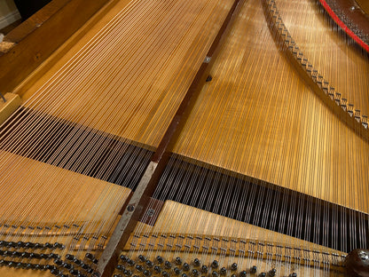 Image 5 of Unique Restoration - Produktiv Genossenschaft Grand Piano from Vienna