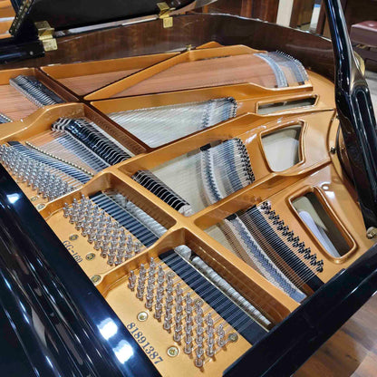 A. Geyer GG-160 5'3" Polished Black Grand Piano
