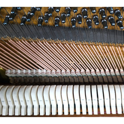 HEIRLOOM RESTORATION 1891 Weber Wood Finish 50" Commissioned Upright Piano