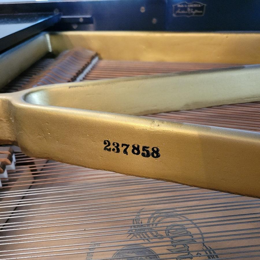 The Nelson Family Piano!