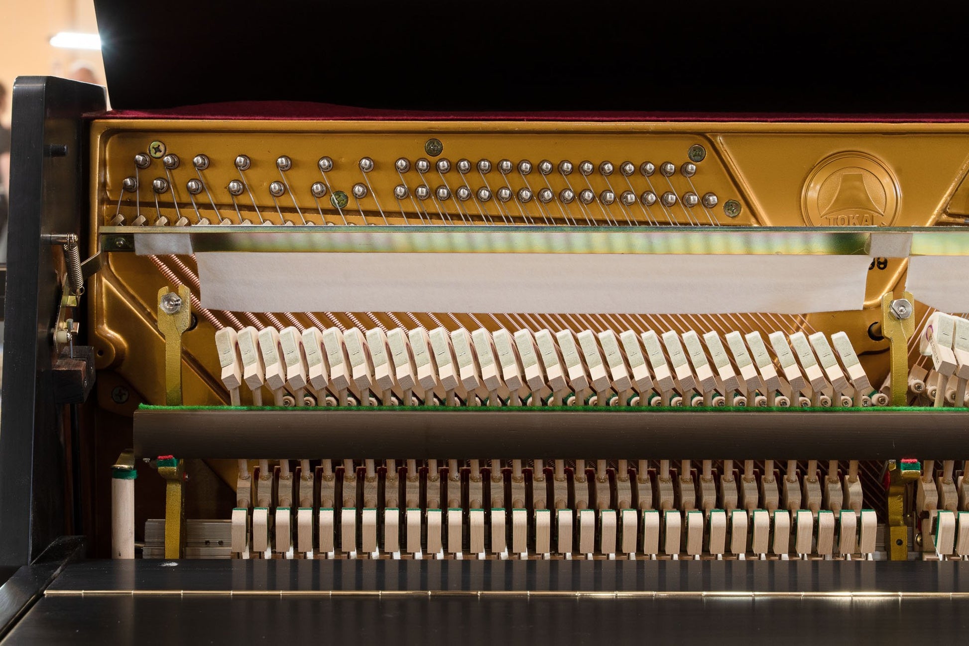 Image 12 of 1982 Tokai Upright Model C106LWP 42"