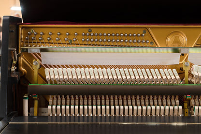 Image 12 of 1982 Tokai Upright Model C106LWP 42"