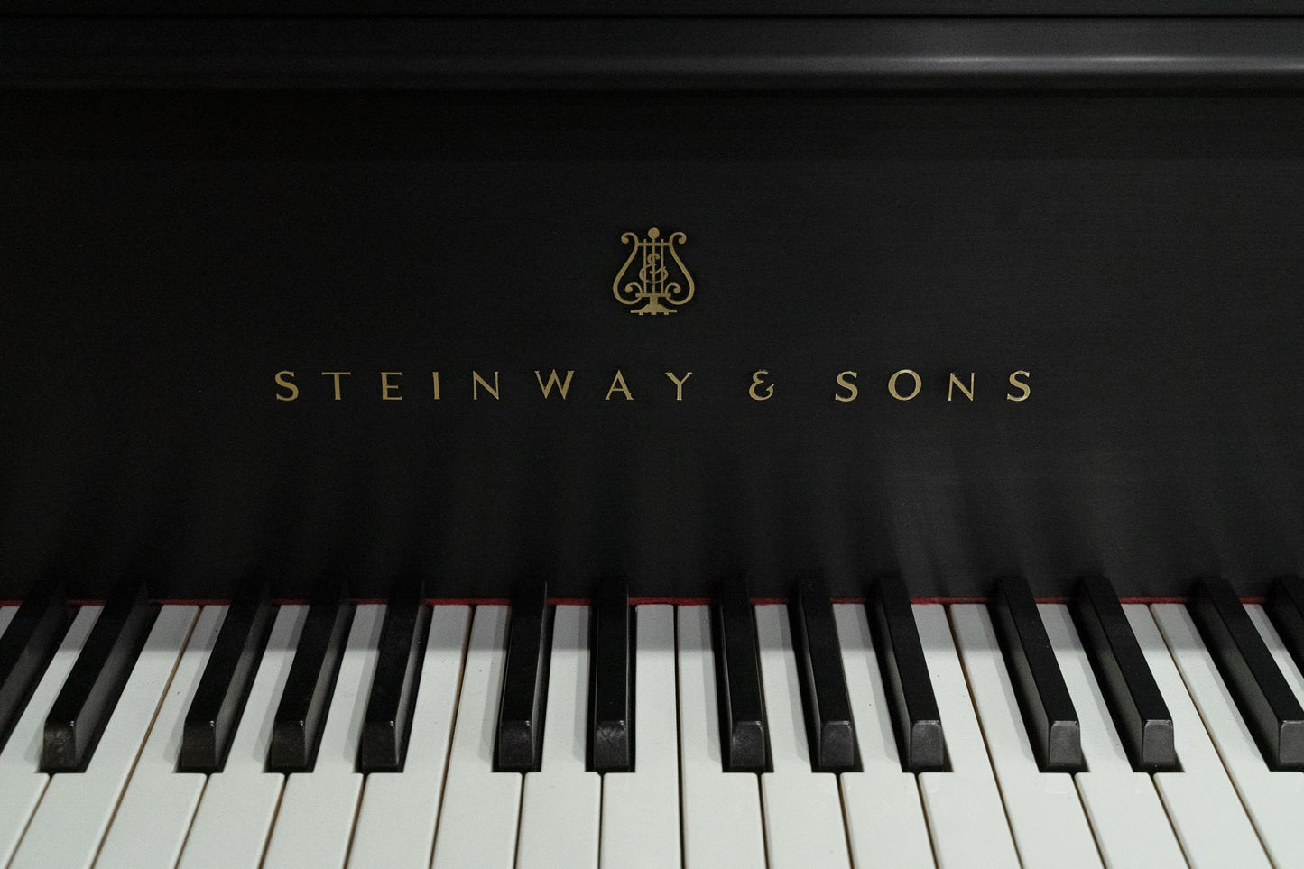 Image 7 of 1979 Steinway M Grand / Black / 5'7" with QRS Self Playing System