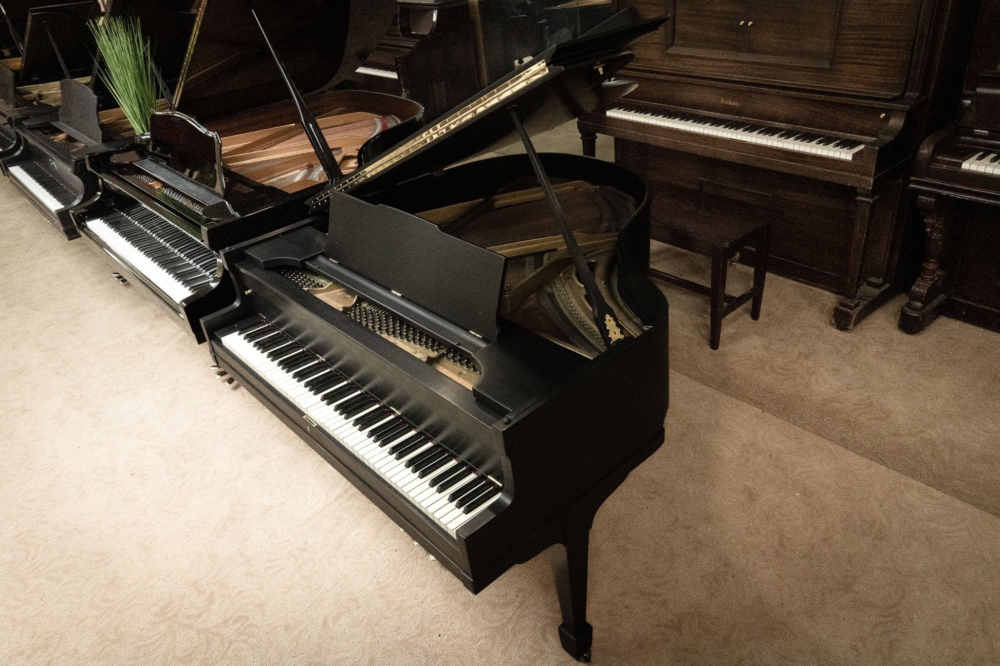 Image 15 of 1917 Aeolian Grand 4'9" / Satin Black 