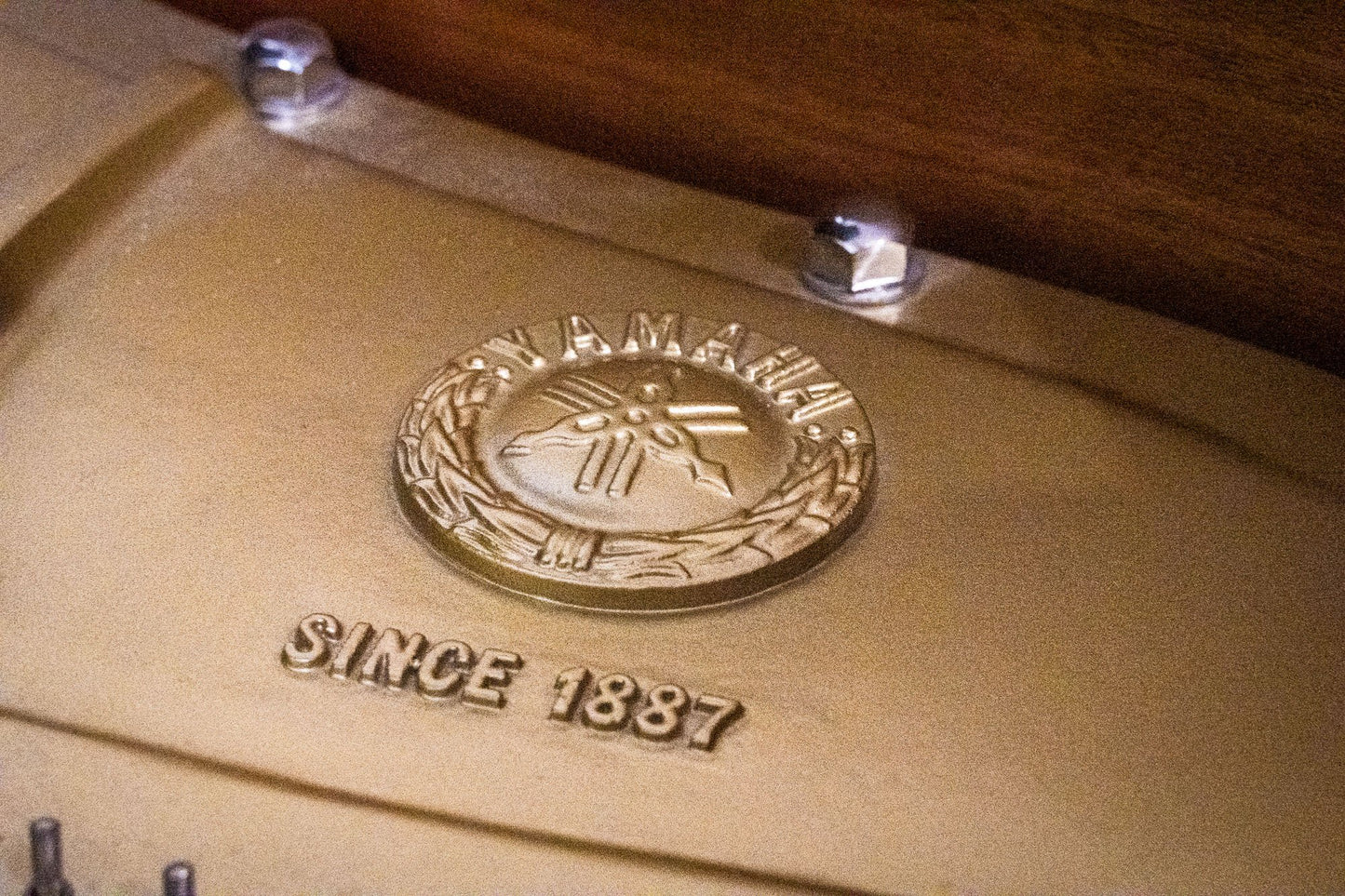 Image 27 of 1994 Yamaha C3 Grand Player Piano 6'1" with QRS Self Playing System