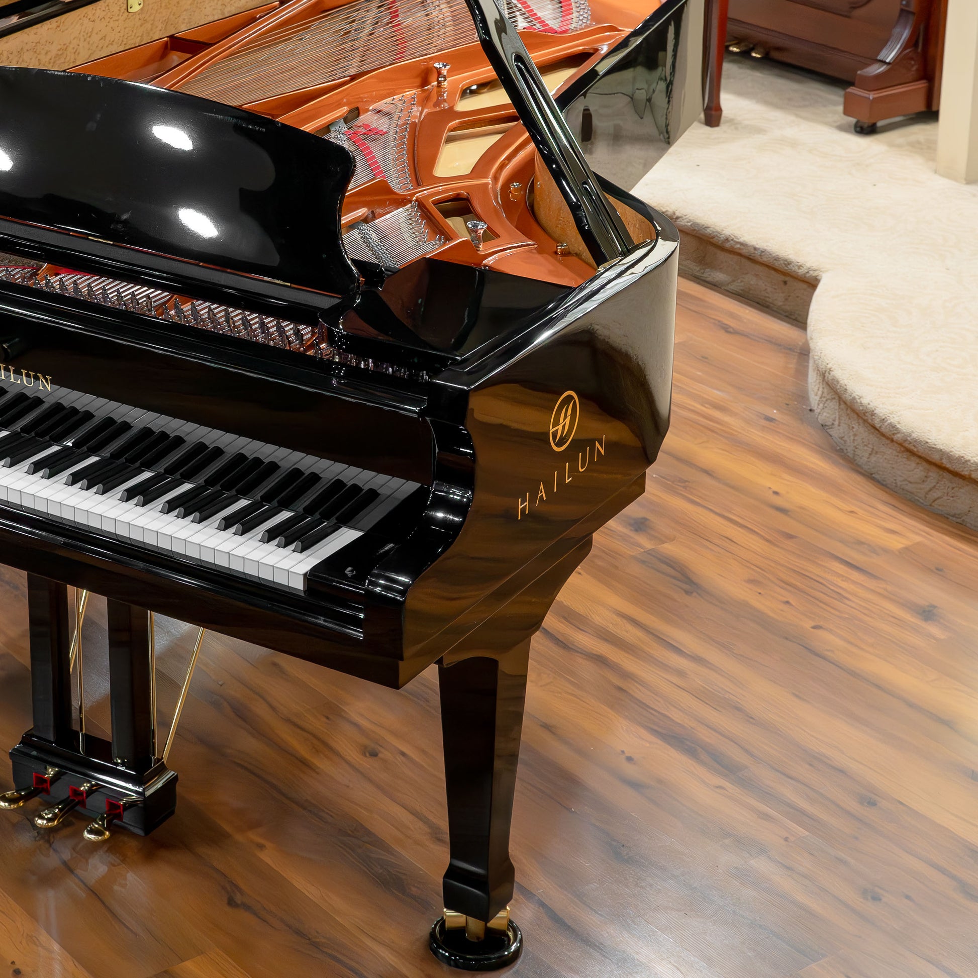 Image 9 of Hailun VG-278 / Polished Black / 9'1" with QRS Self Playing System