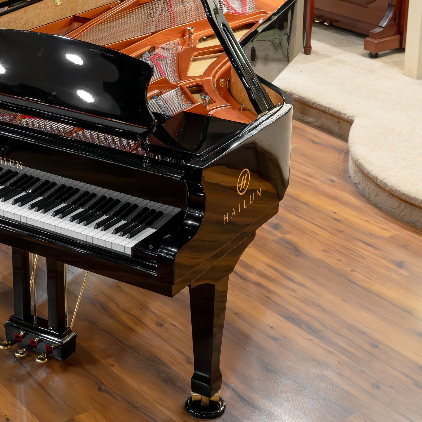 Image 9 of Hailun VG-278 / Polished Black / 9'1"