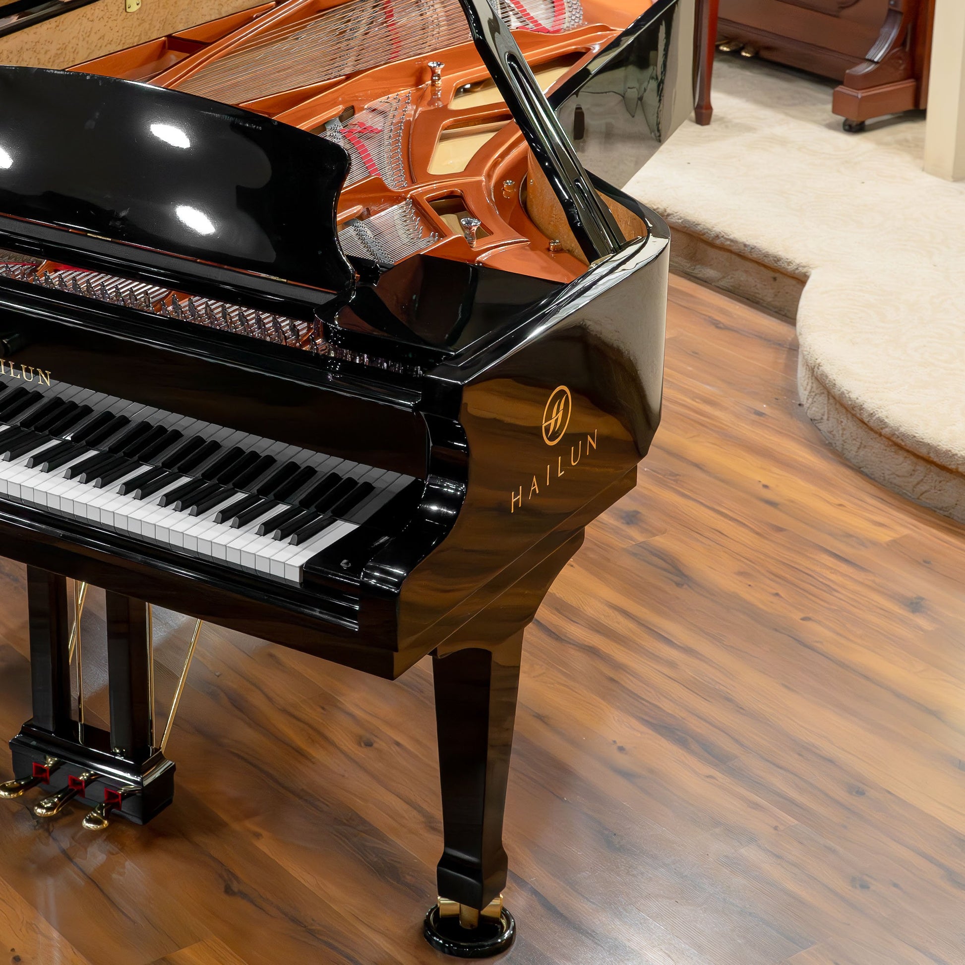 Image 9 of Hailun VG-278 / Polished Black / 9'1"