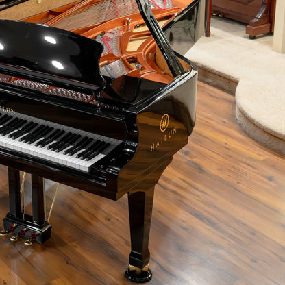 Image 9 of Hailun VG-278 / Polished Black / 9'1"