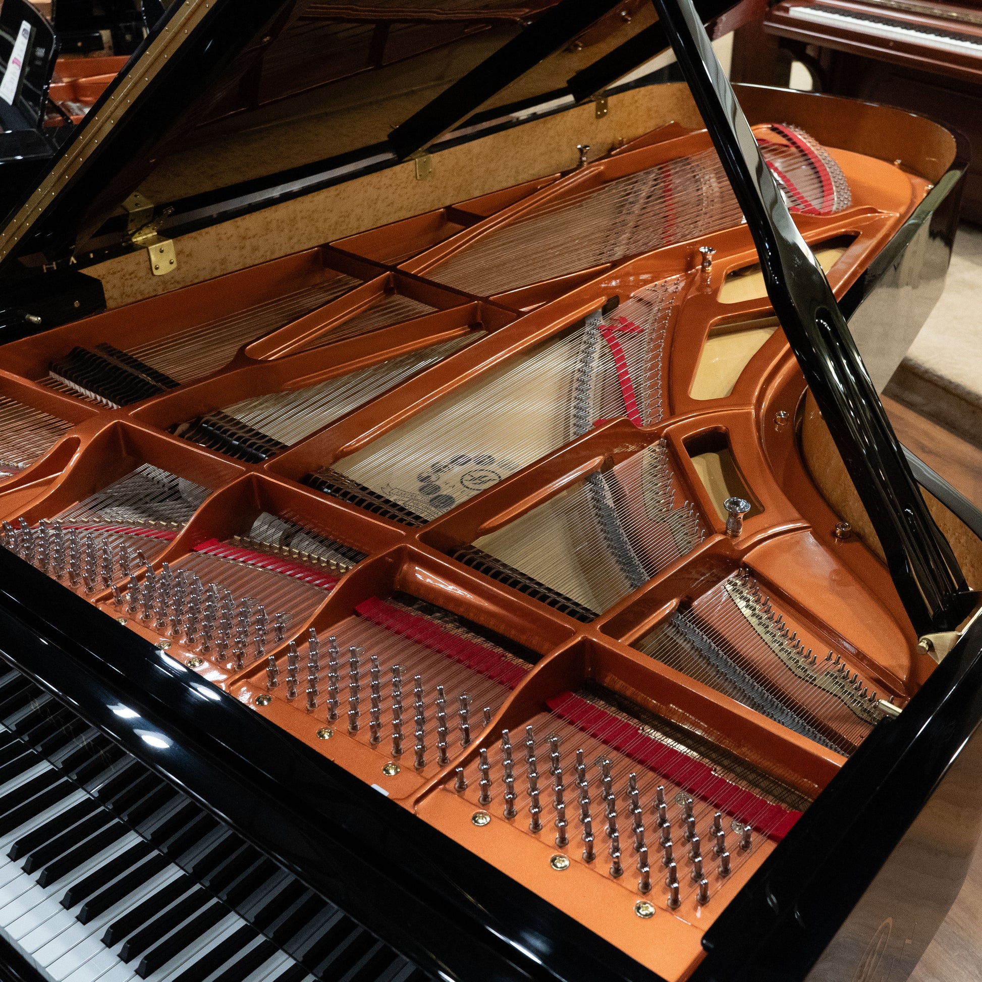 Image 13 of Hailun VG-278 / Polished Black / 9'1" with QRS Self Playing System
