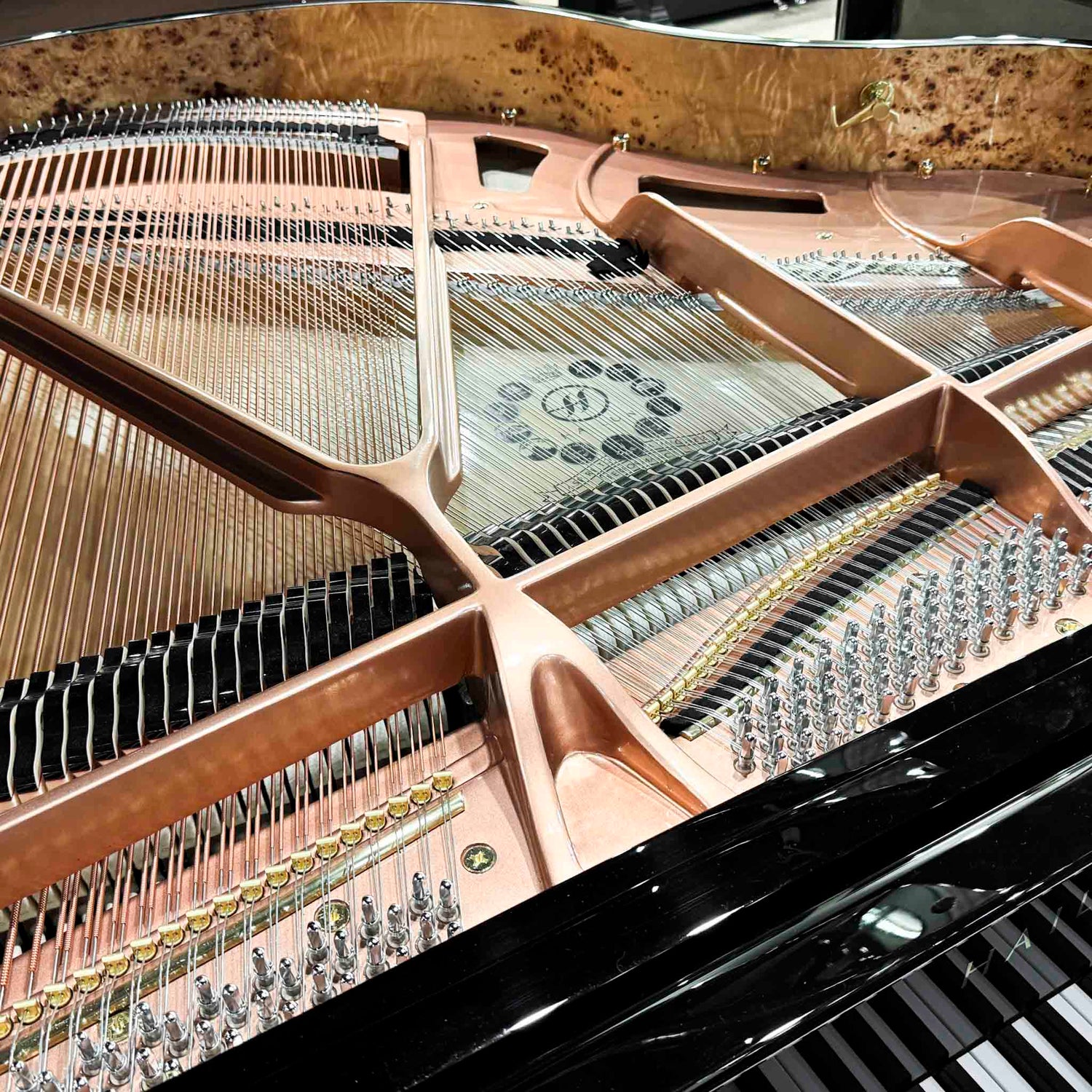 Close-up of a polished black Hailun grand pianos piano's interior strings, hammers, and tuning pin action mechanism at Brigham Larson Pianos piano sales showroom in Orem, Utah.