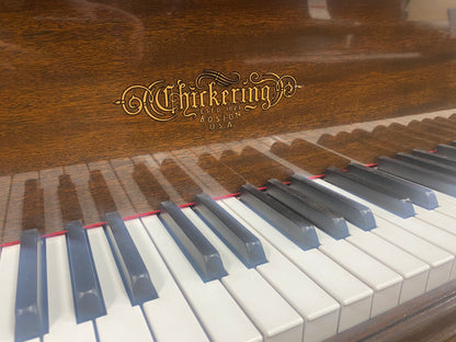 SOLD 1932 Chickering 5'3" Walnut Grand Piano