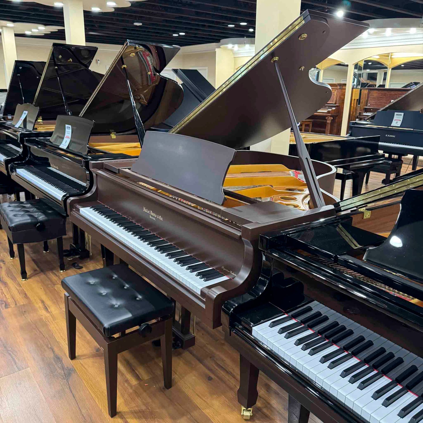 Hallet Davis 160 5'3" Dark Walnut Satin Finish Grand Piano
