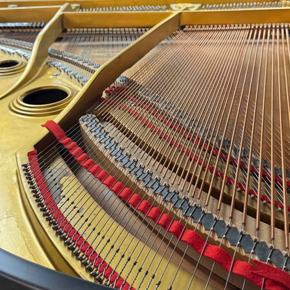 1980 Young Chang G-185 6'1" Satin Black Grand Piano