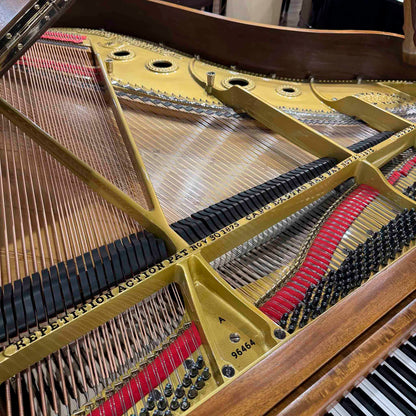 1900 Steinway Model A 6' Art Case Wood Finish Grand Piano