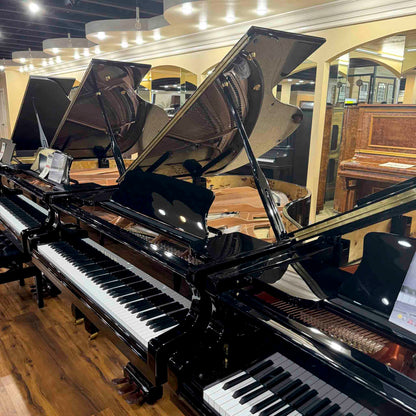 Hailun 178 5'10" Polished Black Grand Piano