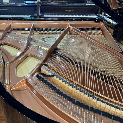 Hailun 178 5'10" Polished Black Grand Piano