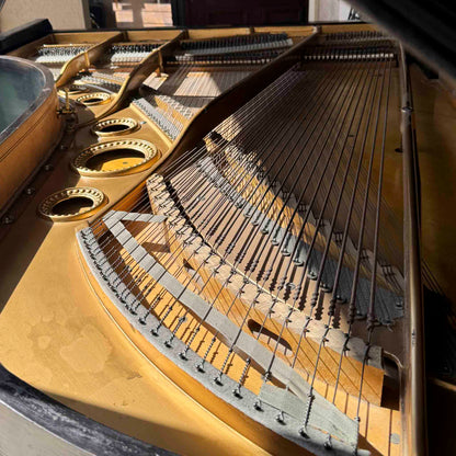 CURRENT SHOP WORK - 1888 Bechstein 7' Black Finish Commissioned Grand Piano