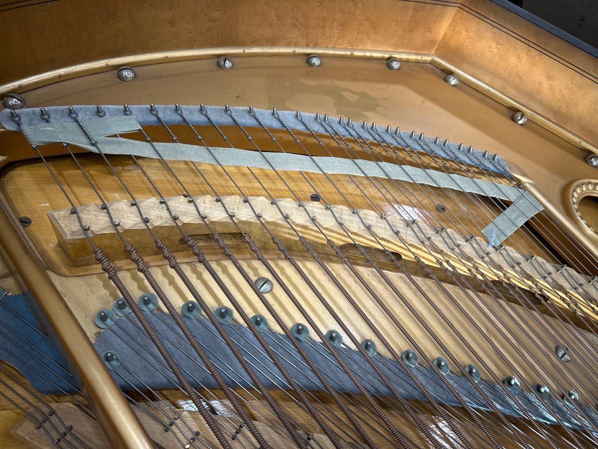 1888 Bechstein 7' Grand photo 14