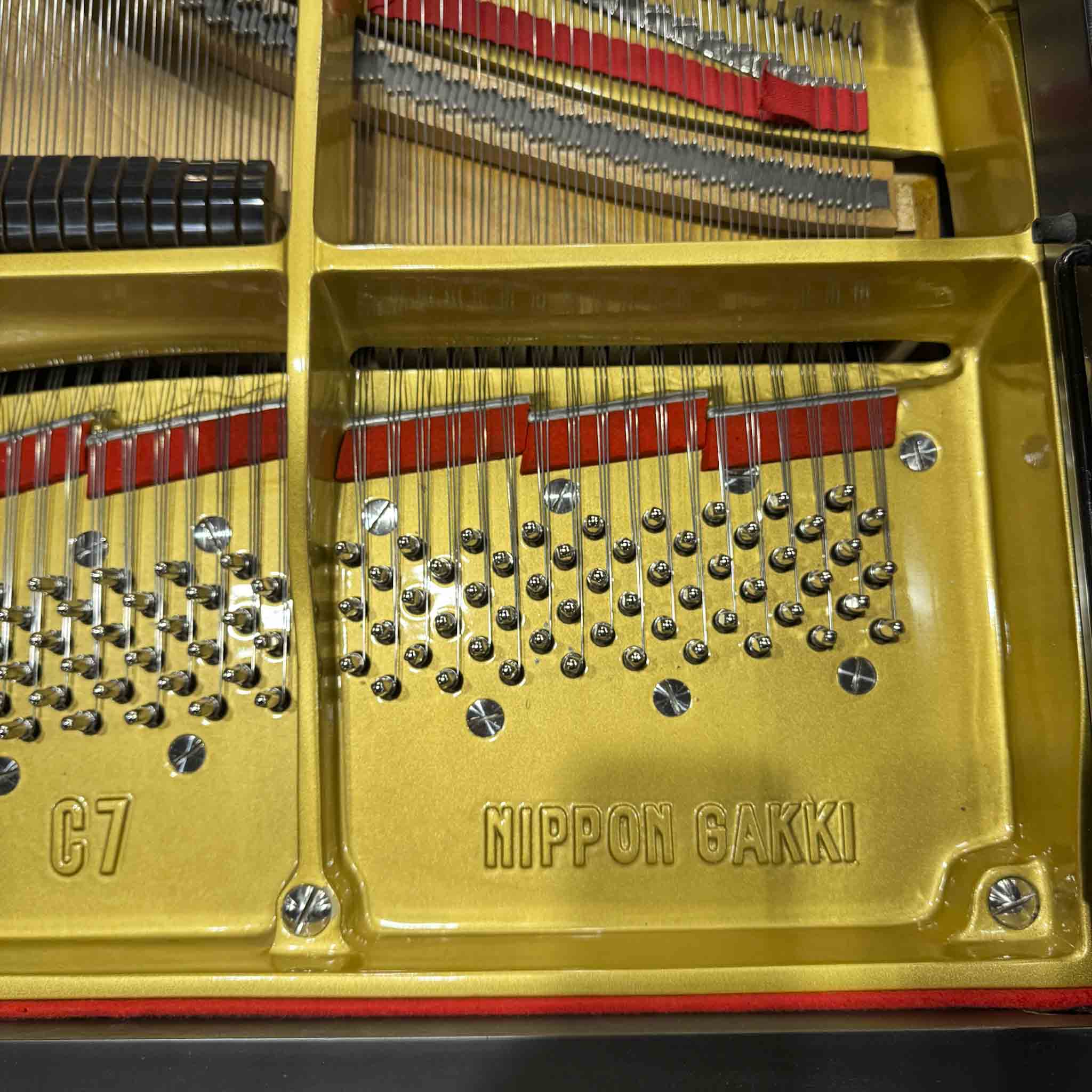 IMG_2994.jpg?v=1761682862&